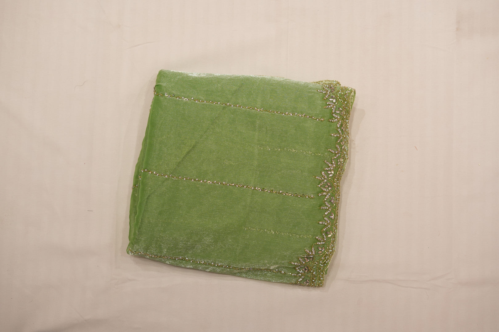 Pure Tissue Silk Saree with Beaded Border