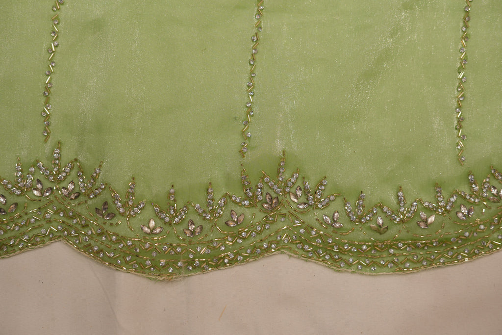 Pure Tissue Silk Saree with Beaded Border