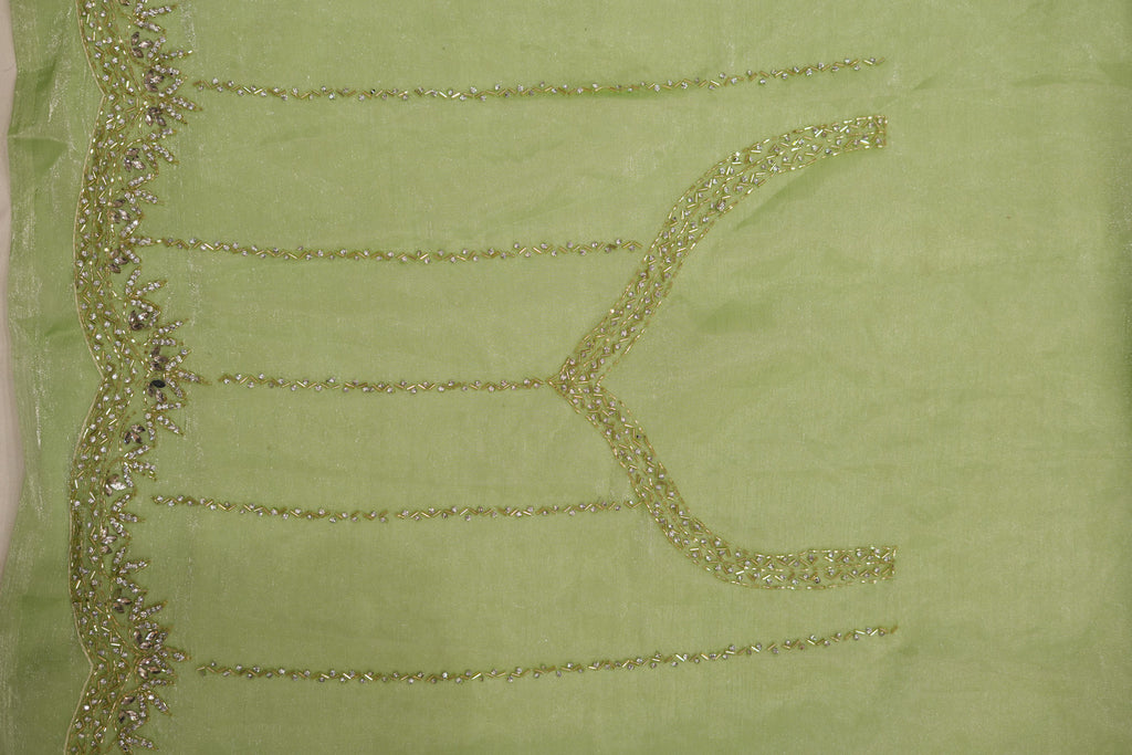 Pure Tissue Silk Saree with Beaded Border