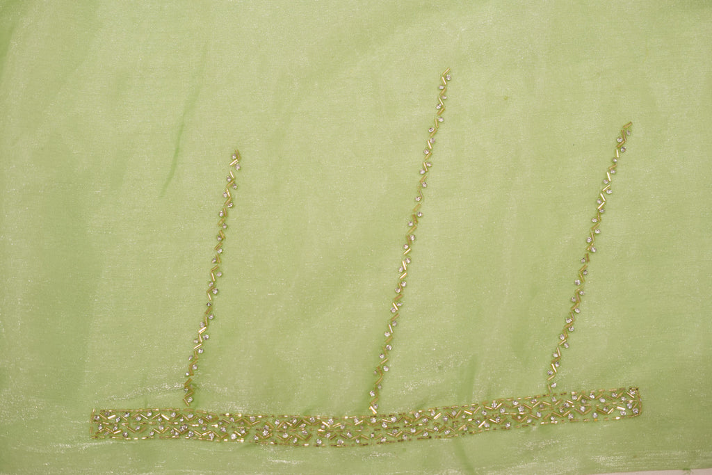 Pure Tissue Silk Saree with Beaded Border