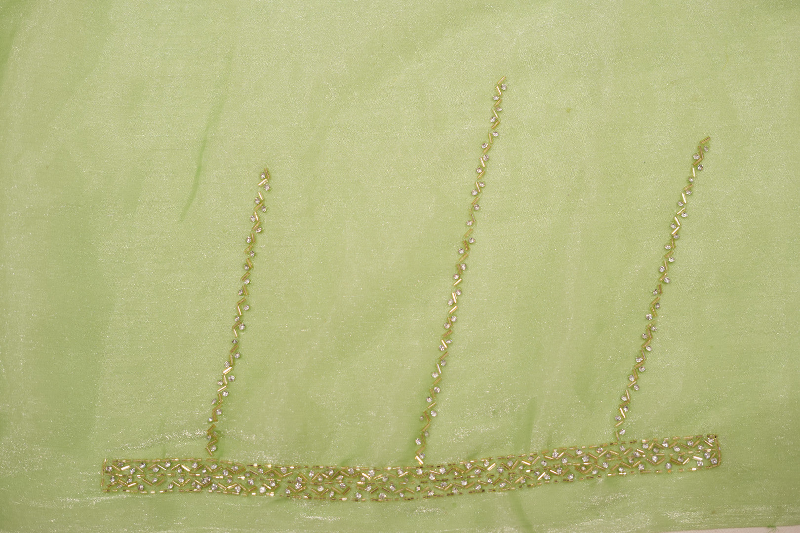 Pure Tissue Silk Saree with Beaded Border