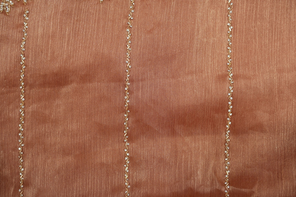 Pure Tissue Silk Saree with Hand Work