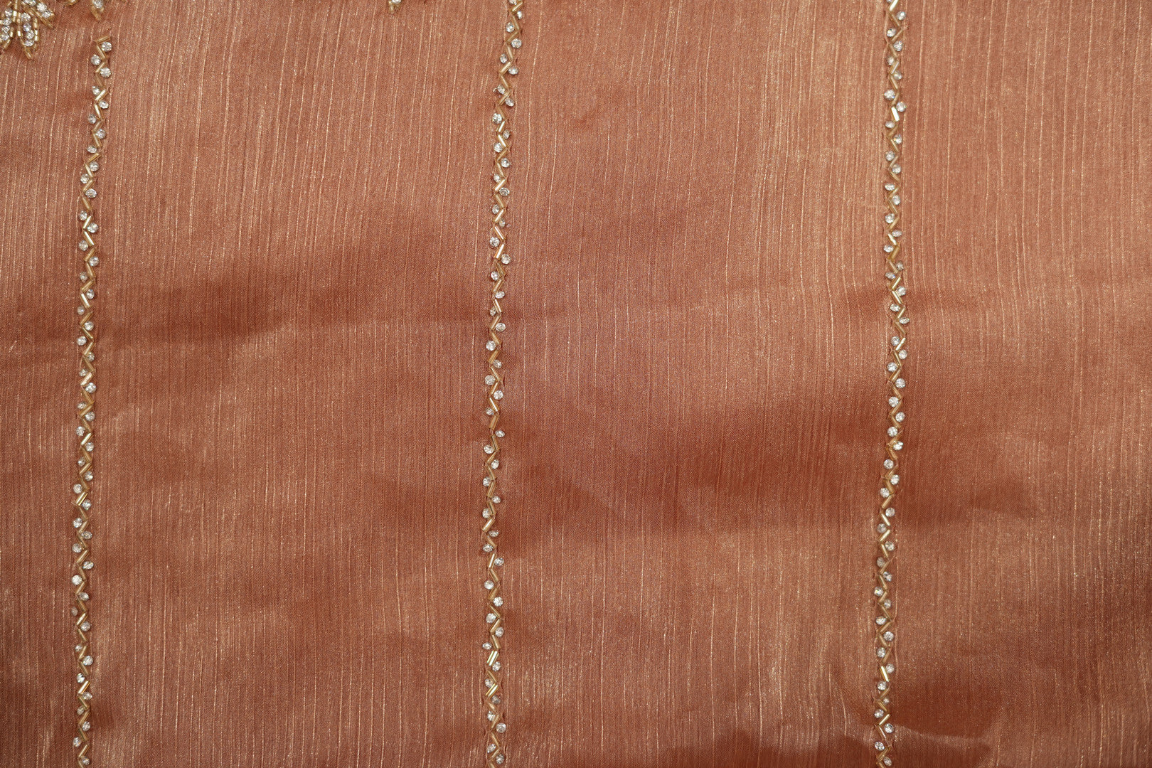 Pure Tissue Silk Saree with Hand Work