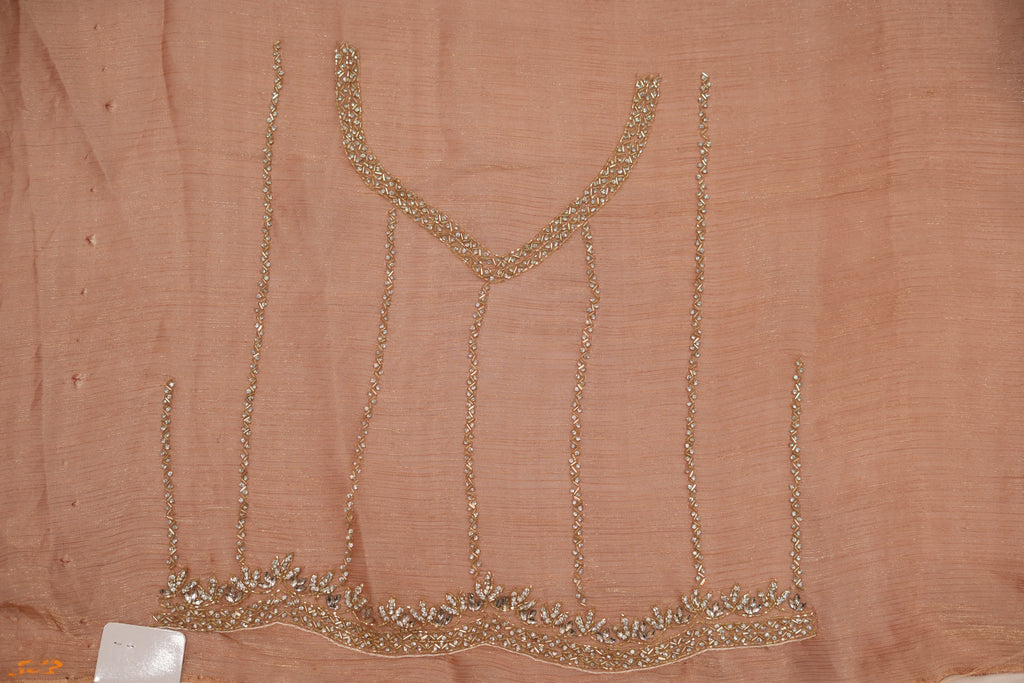Pure Tissue Silk Saree with Hand Work