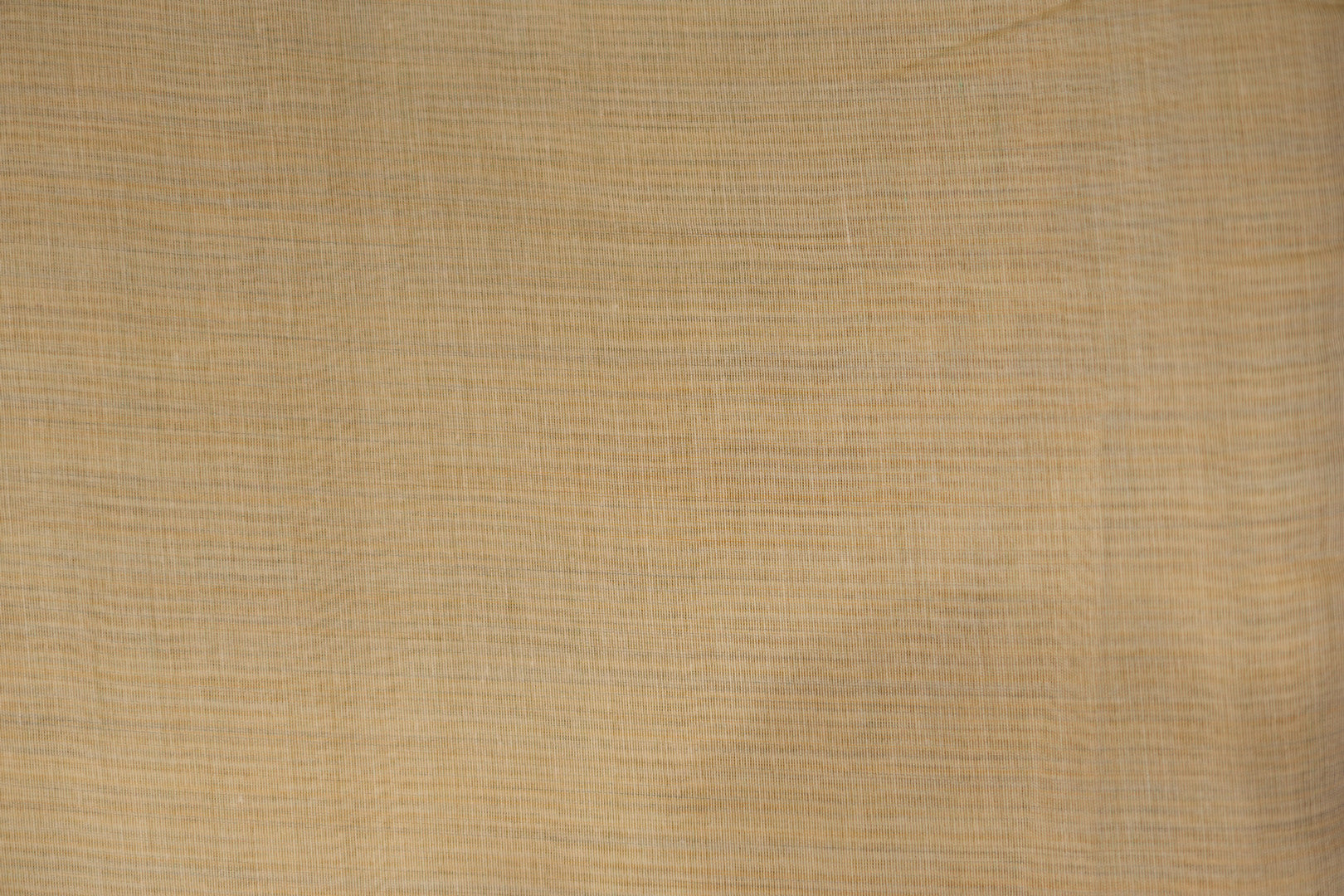 Demo55
